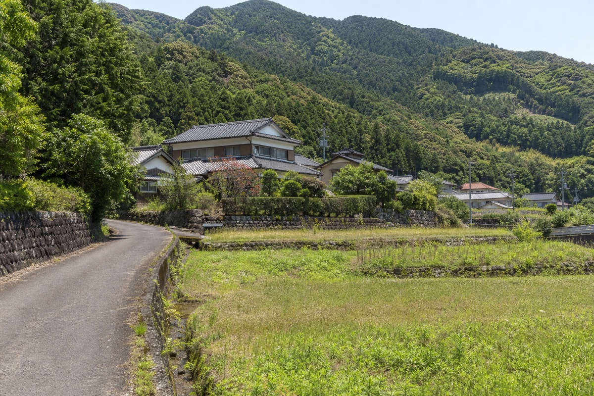 那智勝浦町の農地売却・転用の手続きと流れ