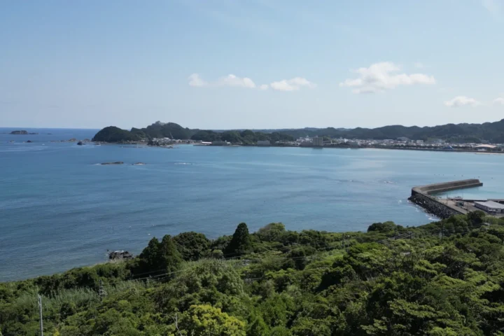 那智勝浦町浜ノ宮の売地／海を見下ろす高台の1,100坪